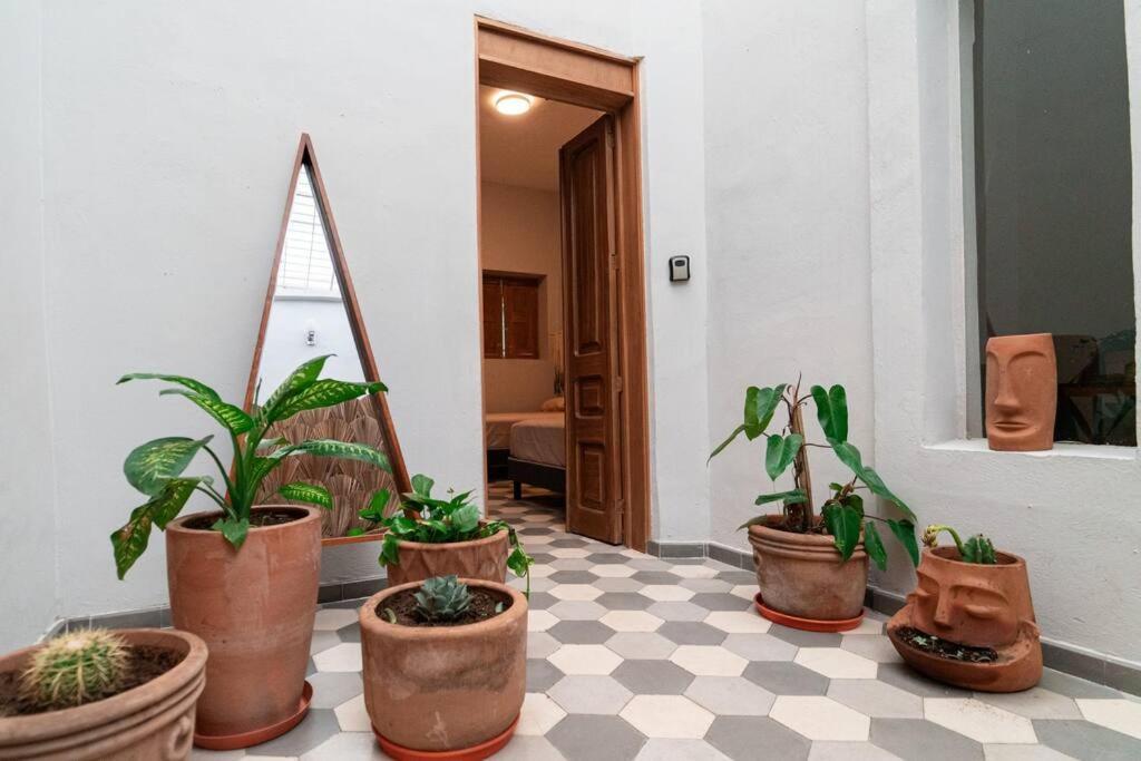 Casa Del Desierto Villa Guadalajara Kültér fotó